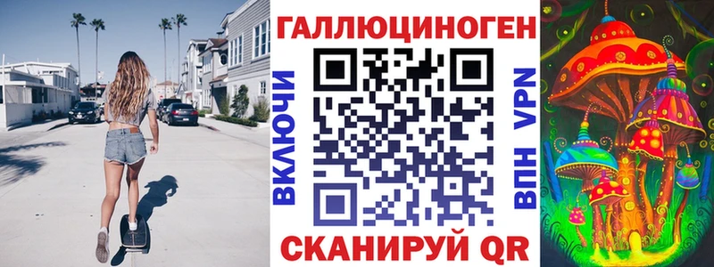 где найти   Северобайкальск  Псилоцибиновые грибы Psilocybe 